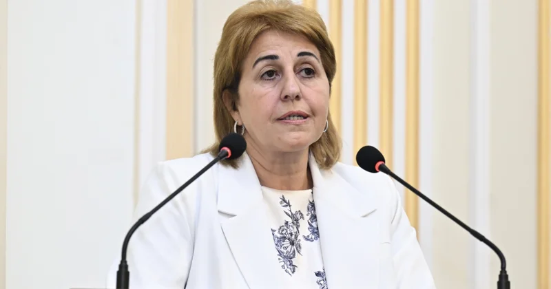 İradə Hüseynova: Ekoloji baxımdan təmiz, texnoloji cəhətdən səmərəli ikinci “yaşıl inqilab” dövrünə qədəm qoyuruq