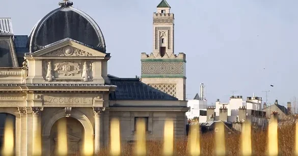 Parisdə muzeydən 1,7 milyon dollarlıq qızıl oğurlayan qadın həbs edildi