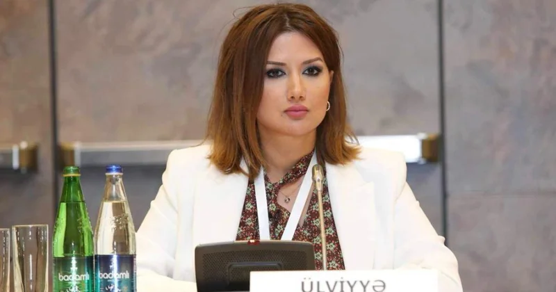 Siyasi şərhçi: Azərbaycan Qazaxıstan strateji əməkdaşlığı türk dünyasında inteqrasiya proseslərini gücləndirir