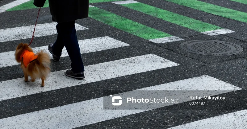 Podiumda gəzən piyadalar, sürət yarışı na çıxan sürücülər