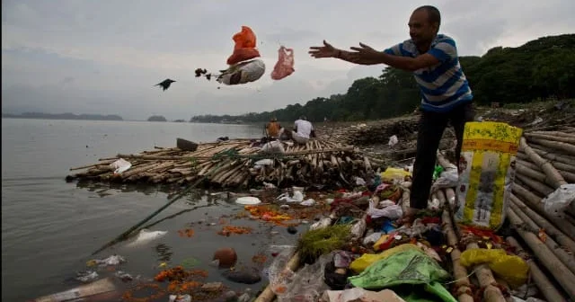 “Plastik və polietilen torbalardan imtina etmək ekosistemin qorunmasına yardım edir” EKOLOQ