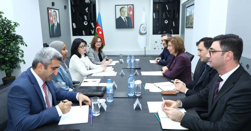 Azərbaycan ilə BMT nin Qadınlar üzrə Agentliyi arasında əməkdaşlıq imkanları müzakirə edilib