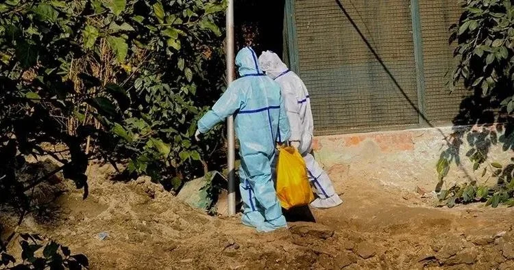 Yaponiyada quş qripi panikası 460 min toyuq məhv ediləcək