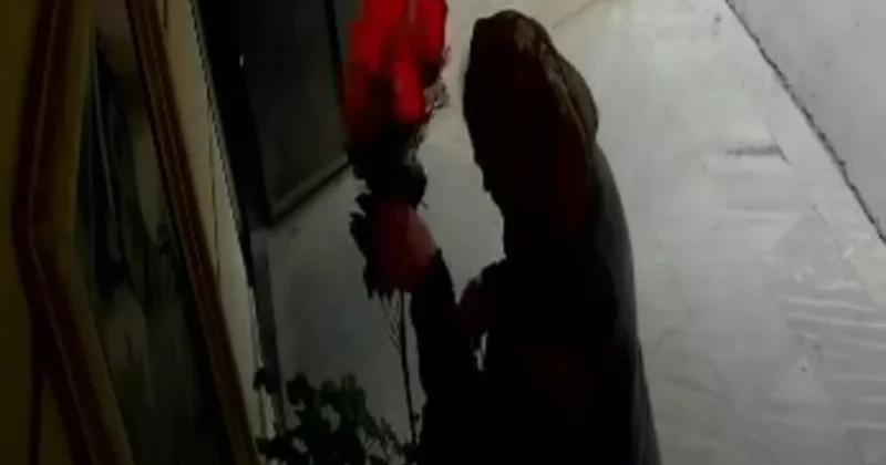 Şəhidin büstü üzərindəki güllər oğurlanıb Video