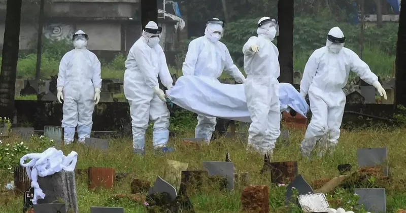 Bu virus 172 nəfərin həyatına son qoydu Heyvanlardan yoluxur