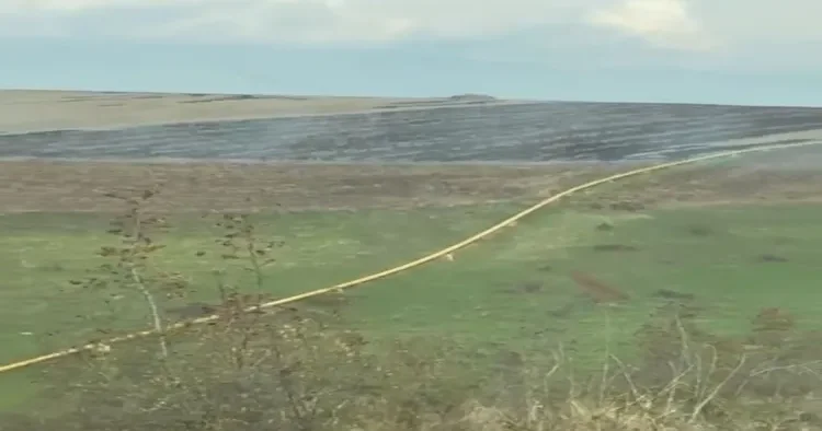 Oğuzda yanğın törədən şəxs məsuliyyətə cəlb olundu