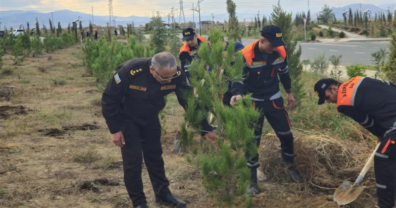 FHN Ağdamda ağacəkmə aksiyası keçirib