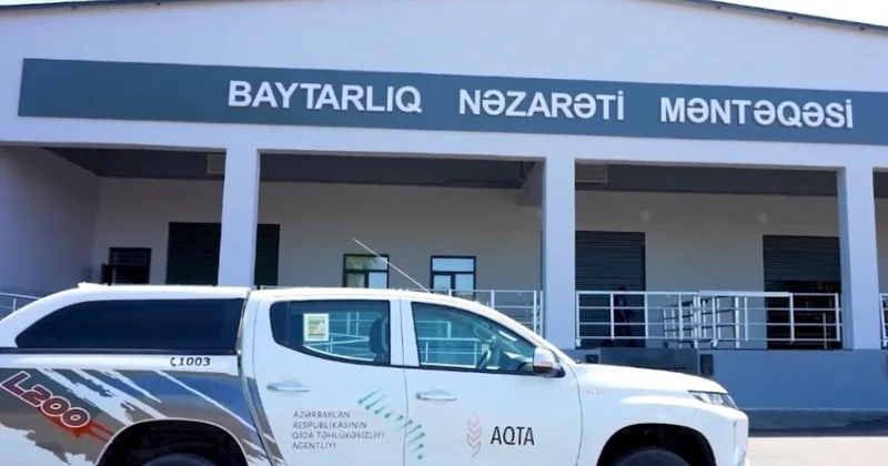 Agentlik: Qırmızı Körpü Baytarlıq Nəzarəti Məntəqəsində ölkəyə idxal edilən heyvanlara klinik baxış keçirilir