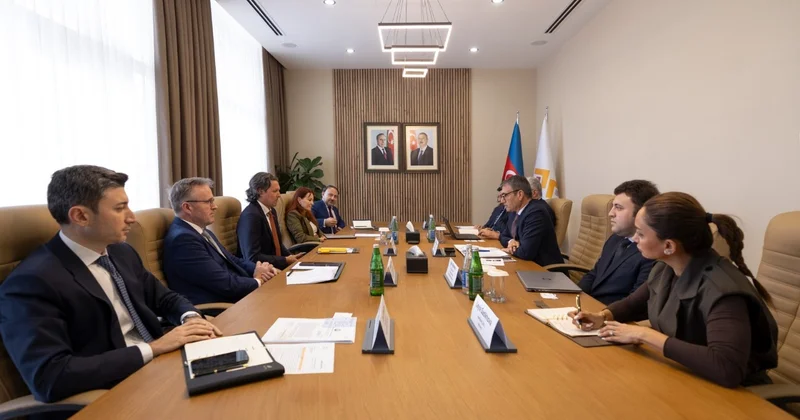 Потенциал совместных проектов