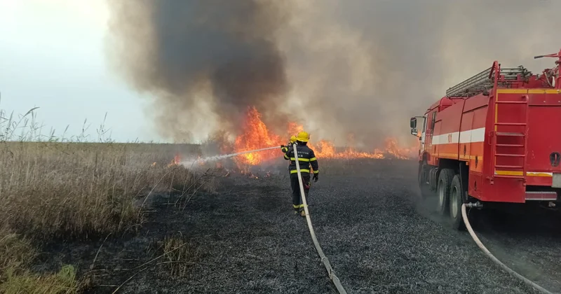Cəlilabadda ovçuluq təsərrüfatı yanır Video Yenilənib