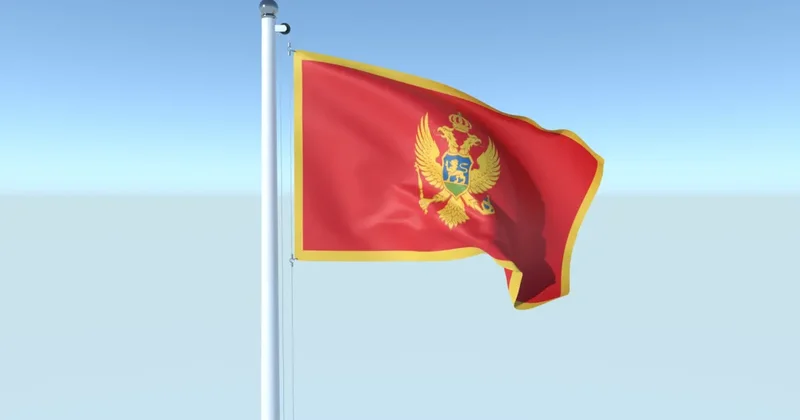 Россия и Монтенегро заморозили диалог