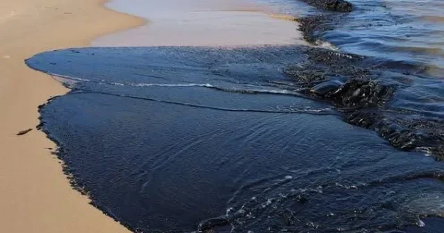 Məşhur çimərlik neftlə çirklənməyə görə BAĞLANDI VİDEO