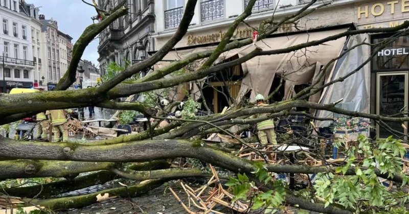 Belçikada baş verən fırtınada dörd nəfər xəsarət alıb