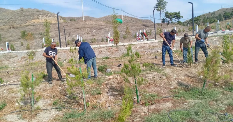 Azad olunmuş torpaqları yaşıllaşdıraq aksiyaları davam edir