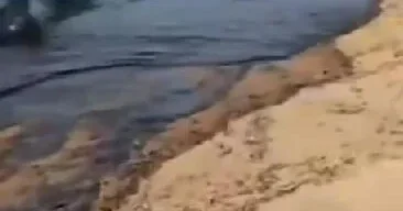 В ОАЭ закрывают пляжи из за разлива нефти с морского танкера ВИДЕО