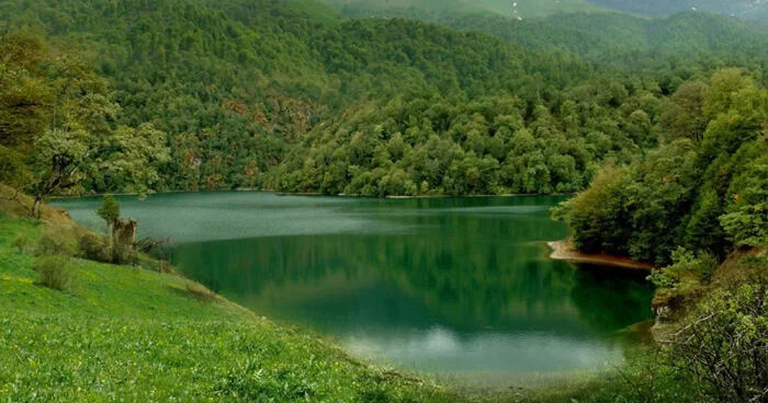 Milli park və qoruqlar niyə yaradılır? ANALİZ