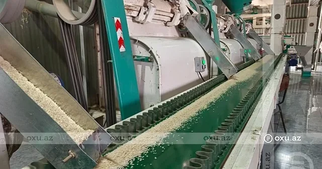 Ucarın çəltik emalı müəssisəsi qısa müddətdə 300 tondan çox məhsul qəbul edib