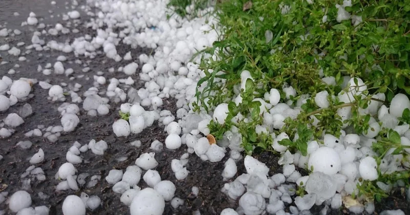Zaqatalaya güclü leysan və dolu yağıb