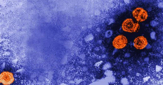 Hepatitlə bağlı diqqətçəkən statistika: Ötən illə müqayisədə azalma var