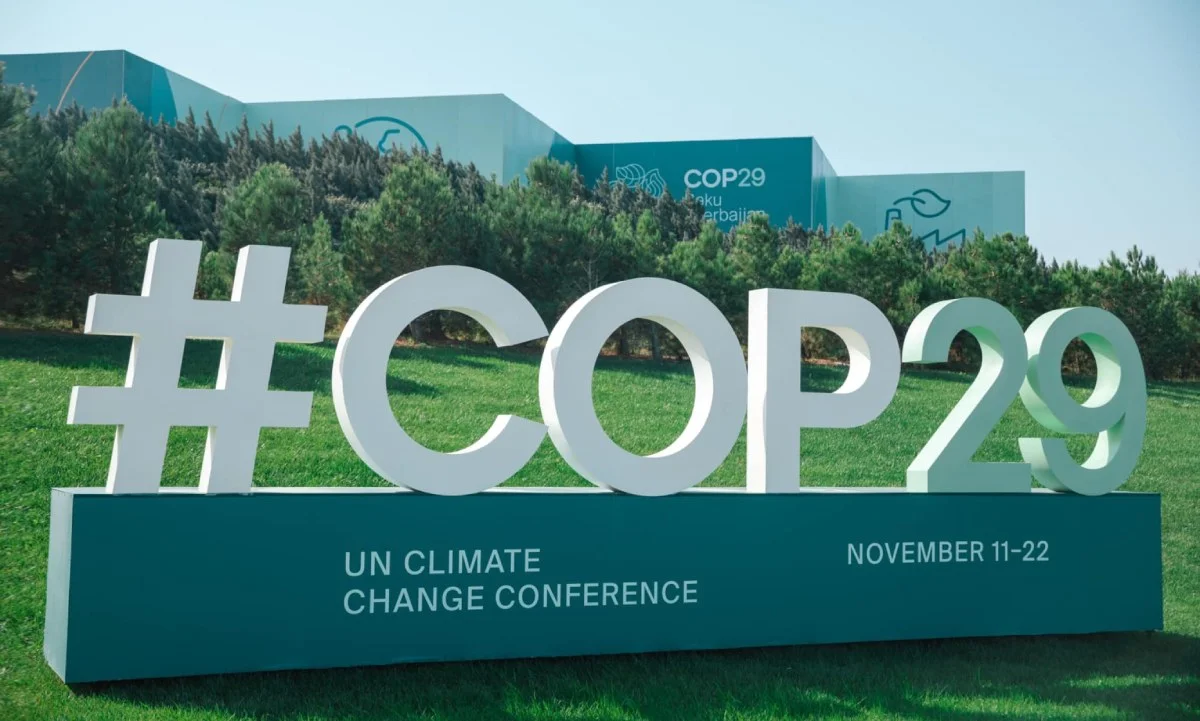 COP29a ev sahibliyi Azərbaycanın beynəlxalq arenada böyük uğurudur TƏHLİL