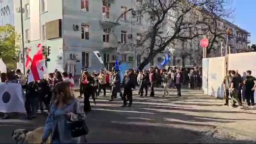 Gürcüstanda etirazların yeni dalğası: Hər kəs meydana toplaşdı VİDEO