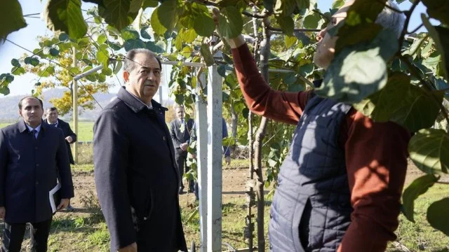 İcra başçısı Taleh Qaraşov yeni salınan meyvə bağı ilə tanış oldu FOTOLAR