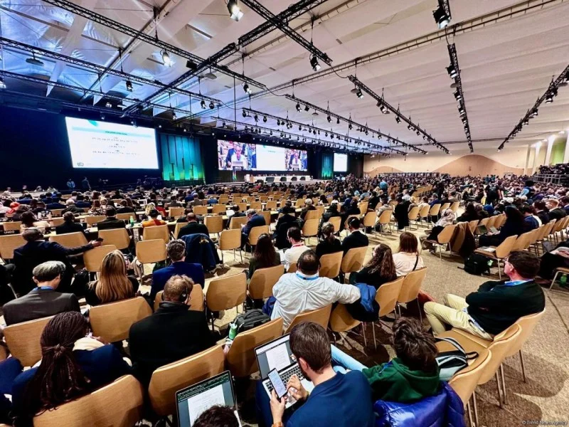 COP29da Azərbaycana minnətdarlıq ifadə olunan qətnamə qəbul edilib