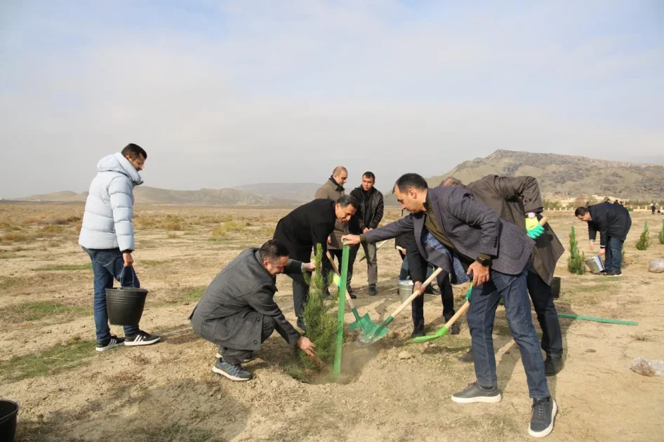 Mədəniyyət Nazirliyi Qobustan qoruğunda yaşıllaşdırma aksiyası keçirib