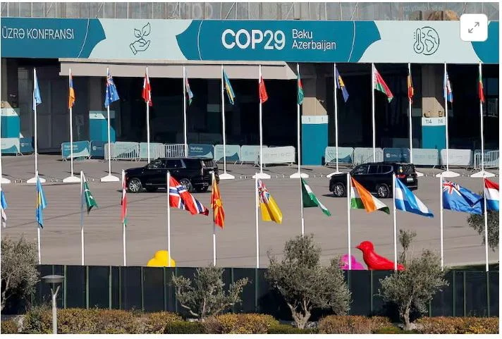 COP29un nəticələri Azərbaycanın növbəti zəfəridir TƏHLİL