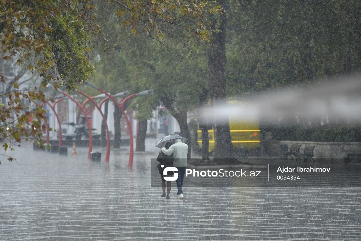 Havanın temperaturu 48 dərəcə enəcək, leysan yağacaq XƏBƏRDARLIQ