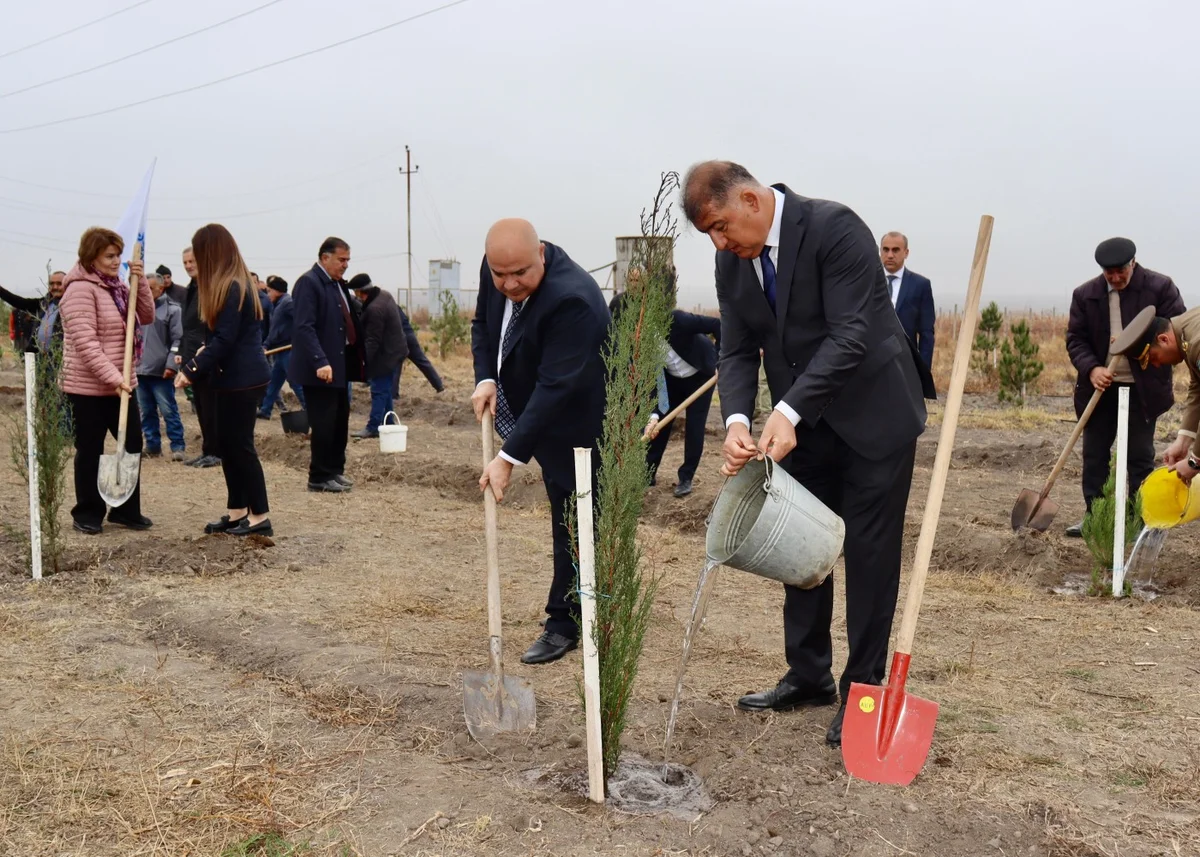 Samuxda Yaşıl dünya naminə həmrəylik ili çərçivəsində təmizlik aksiyası FOTOLAR