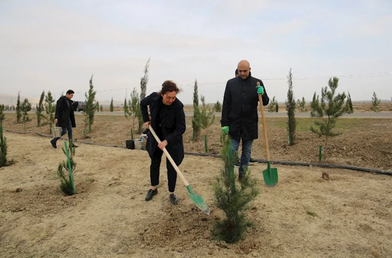 Mədəniyyət Nazirliyi Qobustan Milli TarixBədii Qoruğunda yaşıllaşdırma aksiyası keçirib FOTOLAR