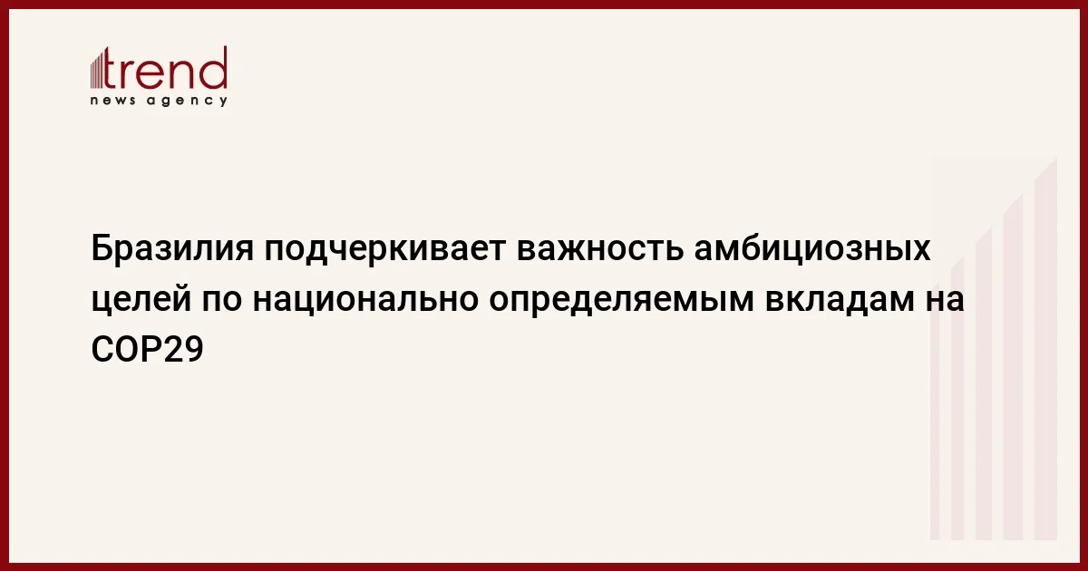 Бразилия подчеркивает важность амбициозных целей по национально определяемым вкладам на COP29