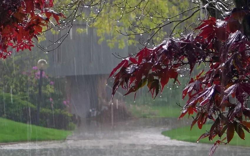 Temperatur düşəcək, leysan yağacaq XƏBƏRDARLIQ