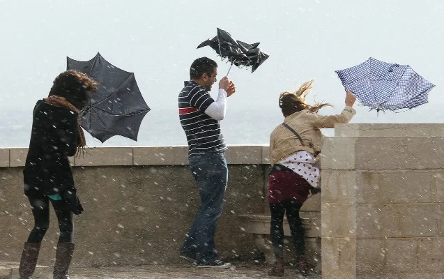 Sabah bu bölgələrdə külək güclənəcək