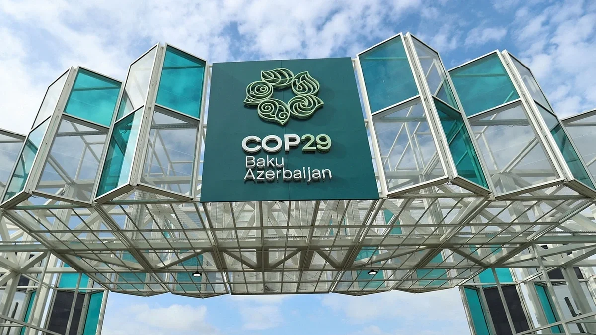 COP29un tarixi uğuru: Karbon bazarına yaşıl işıq