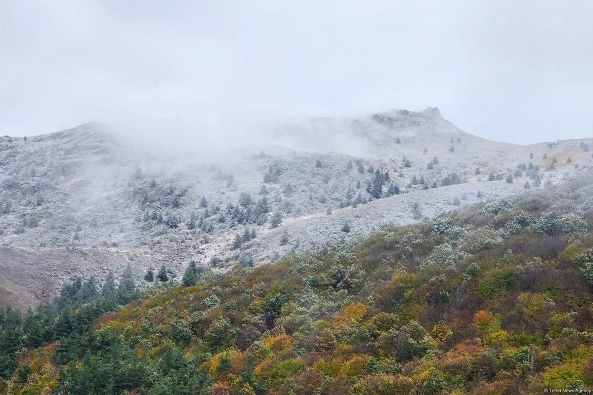 Havanın temperaturu 48 dərəcə enəcək, dağlarda qar yağacaq XƏBƏRDARLIQ