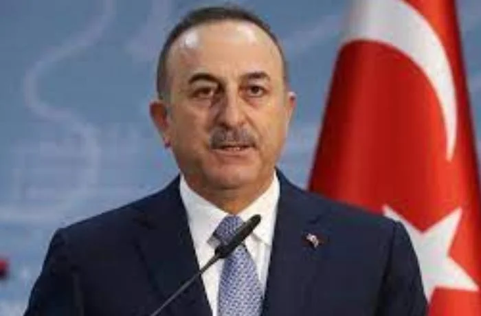 Mövlud Çavuşoğlu Azərbaycana niyə gəlir?