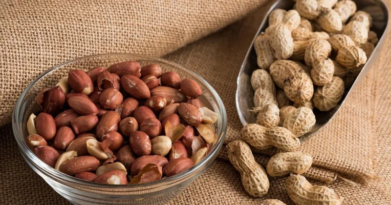 Beyin damarlarının fəaliyyətinə faydalıdır