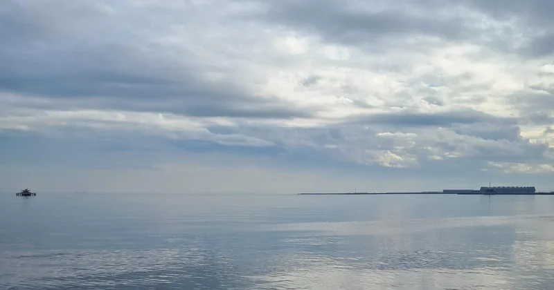 Xəzər dənizi ilə bağlı mistik hadisə: gizli meşə tapıldı VİDEO