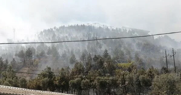 Gədəbəydə dağlıq ərazidə yanğın baş verdi