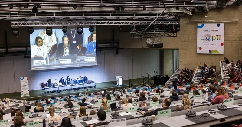 ÜST nin Çərçivə Konvensiyasının növbəti konfransı İrəvanda keçiriləcək