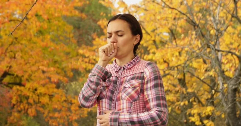 Noyabrda YAZ HAVASI Anomal hava hansı xəstəliklərin XƏBƏRÇİSİDİR?