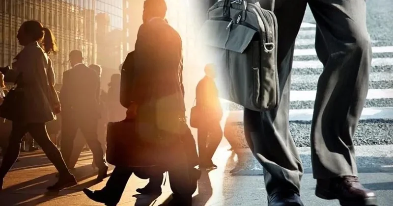 Rəsmi işsizlər 2026 cı ildən sığorta haqqı ödəyəcək, bu, düzgün deyil Professor