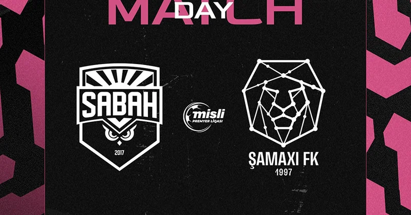 Bayquşlar şirlər ə qarşı