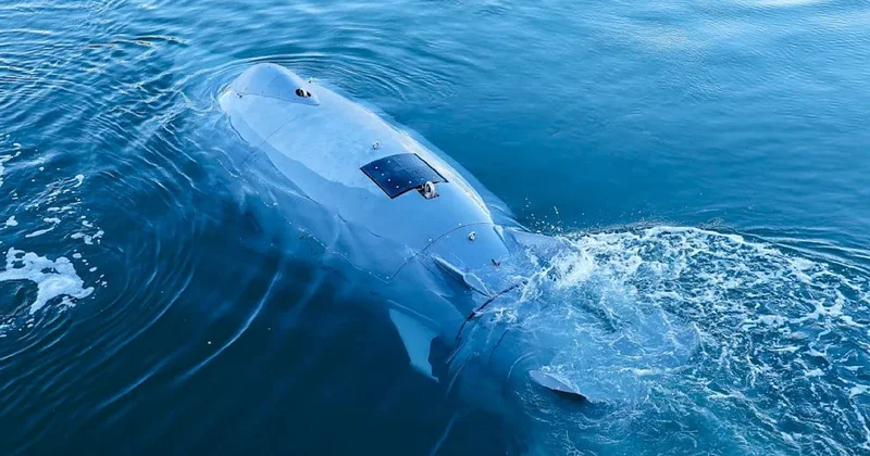 Балтийское море будут защищать дроны акулы с искусственным интеллектом