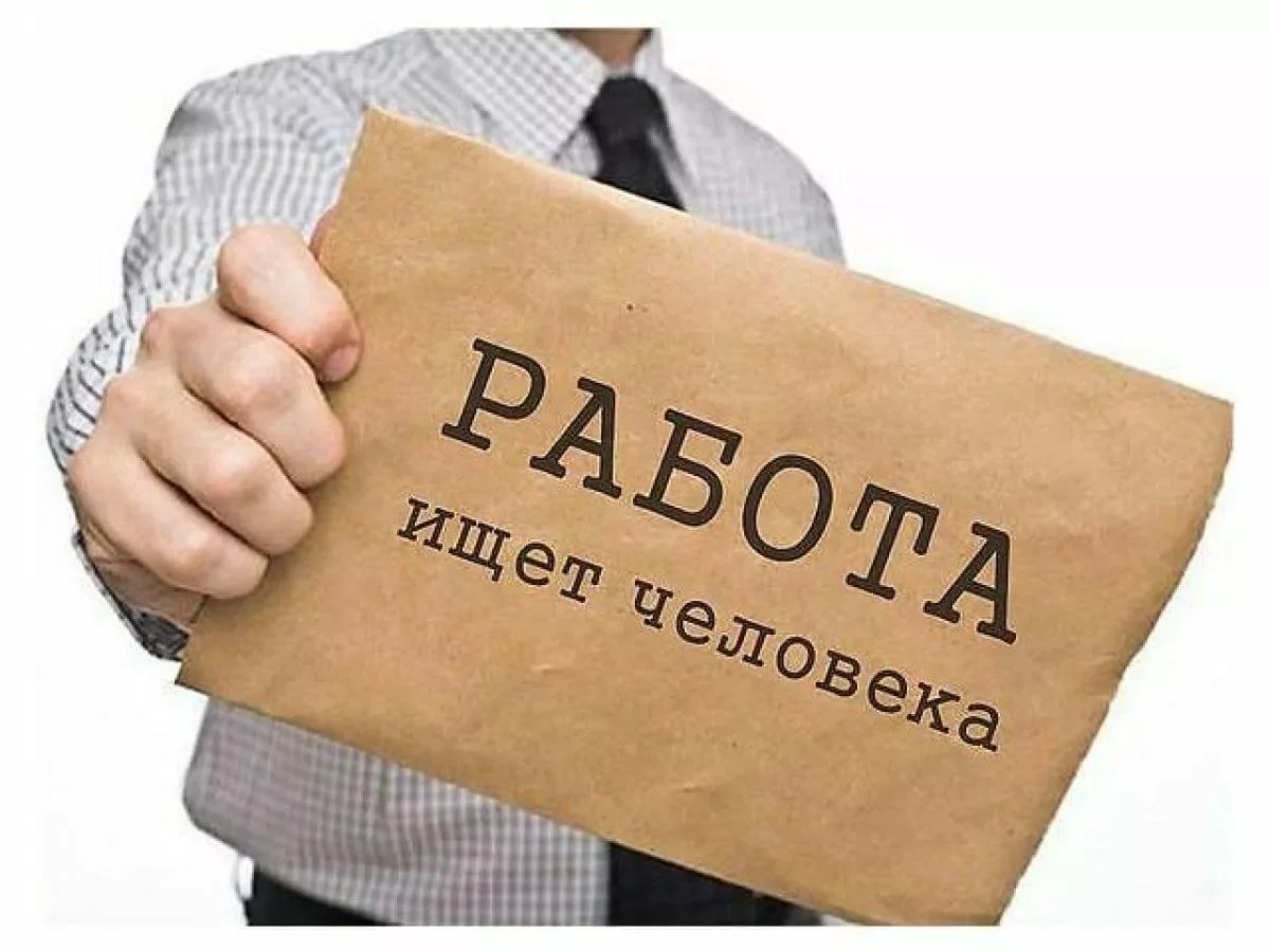 В Азербайджане работодатели представили около 600 тысяч вакансий в 2024 году