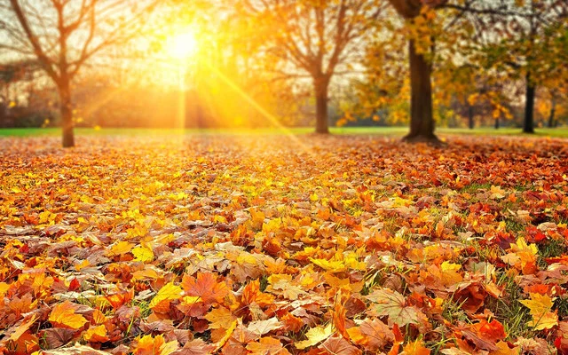 Azərbaycanda havanın temperaturu normadan yuxarı olub