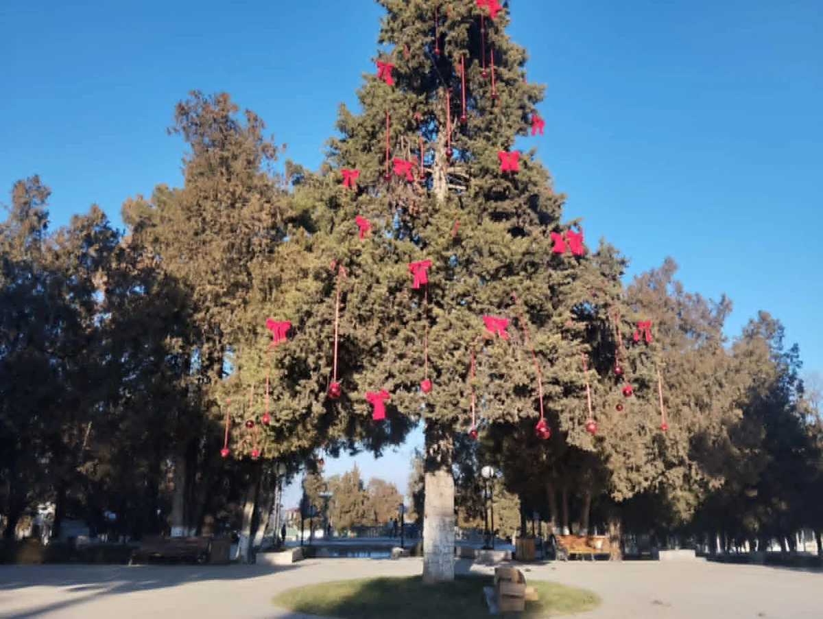 Xankəndi Yeni ilə belə hazırlaşır FOTOREPORTAJ