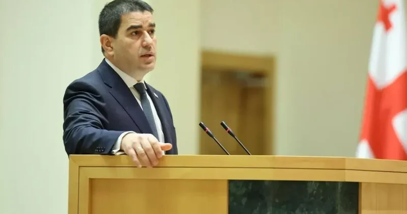 Папуашвили: Грузии нужен прогрузинский подход